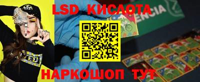 a pvp Новодвинск