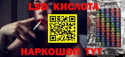 a pvp Новодвинск