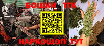a pvp Новодвинск