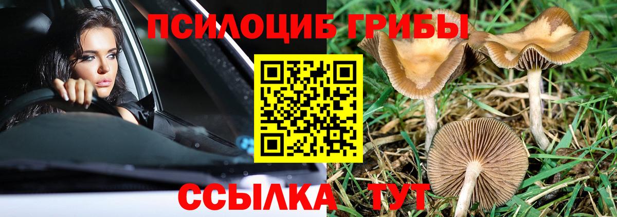 Галлюциногенные грибы Magic Shrooms Протвино
